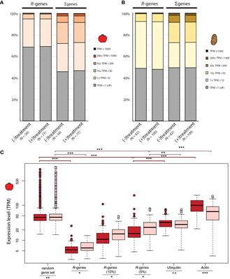 Global expression patterns of R-genes in tomato and potato